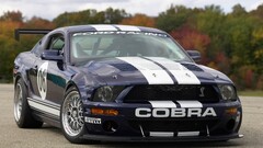 Car Ford mustang vehicle Ford Racing Stripes