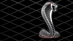 Car Ford vehicle logo shelby cobra snake