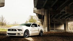 Car Ford white cars vehicle