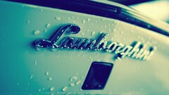 Car Lamborghini white cars