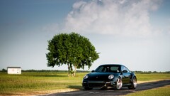 Car Porsche black cars Trees vehicle porsche 911 porsche 997