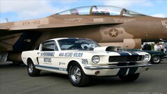 Car vehicle numbers Aircraft military aircraft white cars
