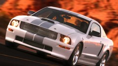 Car vehicle white cars Ford