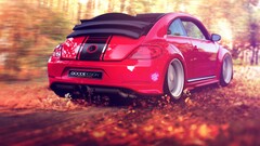 Car Volkswagen Volkswagen New Beetle red cars vehicle leaves