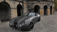 Car Wiesmann matte paint