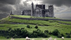 castle Animals landscape Ireland ruin sheep