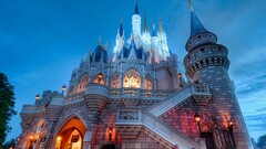 castle Disneyland theme parks