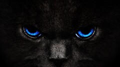 cats Animals blue eyes digital art Mammals dark animal eyes