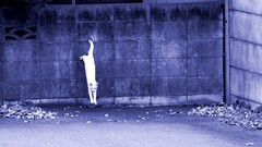 cats Animals jumping Violet