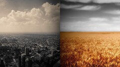 Chicago field collage cityscape landscape
