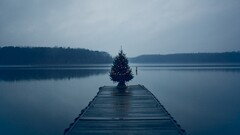 christmas tree pier Lake nature landscape