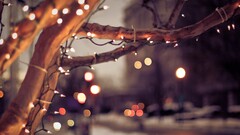 City cityscape Trees lights Christmas winter nature urban bokeh