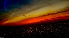 cityscape digital art space art Birds planetary rings