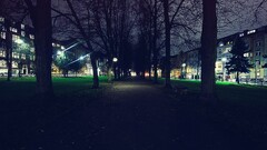 cityscape night Trees dark urban path Park