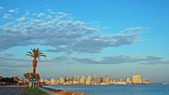 cityscape Sea building road palm trees California