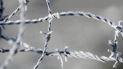 closeup barbed wire ice macro frost