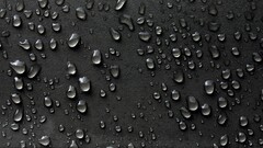 closeup liquid black water drops monochrome texture