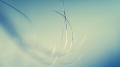 closeup Plants macro