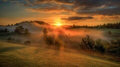 clouds sunset mist Trees sunlight sky landscape nature