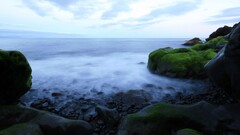 coast nature Sea sky moss rock horizon
