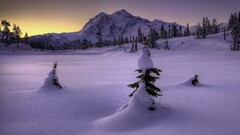 cold snow Mountains Trees sunset nature winter