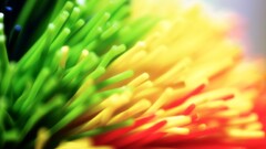 colorful macro Green yellow red rastafari