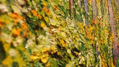 colorful paint splatter wall