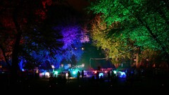 colorful Trees lights Park