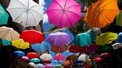 colorful umbrella City urban palm trees