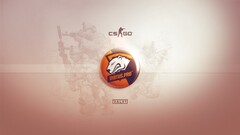 counter-strike counter-strike global offensive Virtus.pro Polish