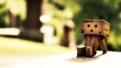 danbo carton box blurred
