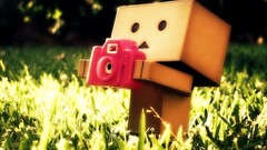 danbo carton box grass