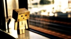 danbo carton box window