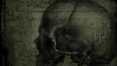 dark artwork skull