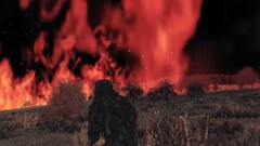 dayz arma 2 arma ii Steam (software) video games fire forest