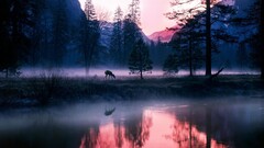 deer Animals mist Mountains reflection