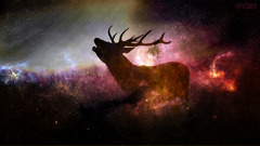 deer Animals Stars digital art