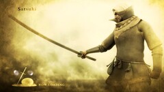 Demon's Souls video games witch