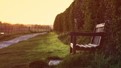 depth of field bench outdoors