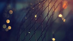 depth of field fence bokeh macro sunlight lights metal
