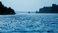depth of field Lake water rain nature landscape water drops