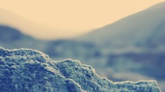 depth of field landscape closeup blurred bokeh