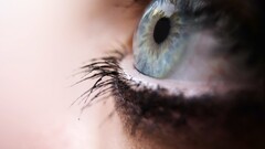 depth of field macro eyes eyelashes