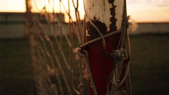 depth of field nets sunlight
