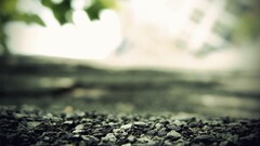 depth of field stones nature