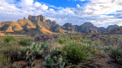 desert landscape shrubs clouds Mountains Texas national park