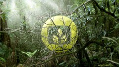 Desktopography Trees jungle Plants leaves sun rays