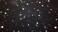 digital art bokeh dots