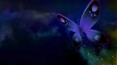 digital art butterfly Animals artwork insect