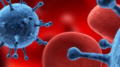 digital art macro render